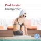 Audiolibro gratis : Baumgartner, de Paul Auster